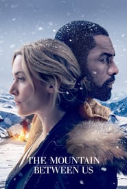 The Mountain Between Us (2017)